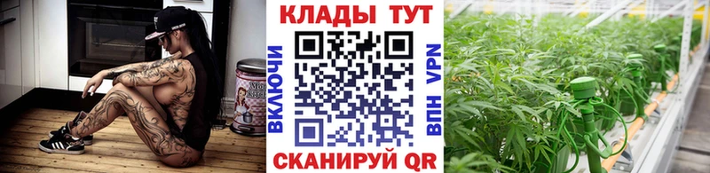 Цена Щёкино COCAIN АМФ Галлюциногенные грибы Мефедрон Гашиш