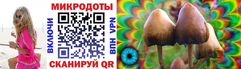 Псилоцибиновые грибы MAGIC MUSHROOMS  Щёкино 